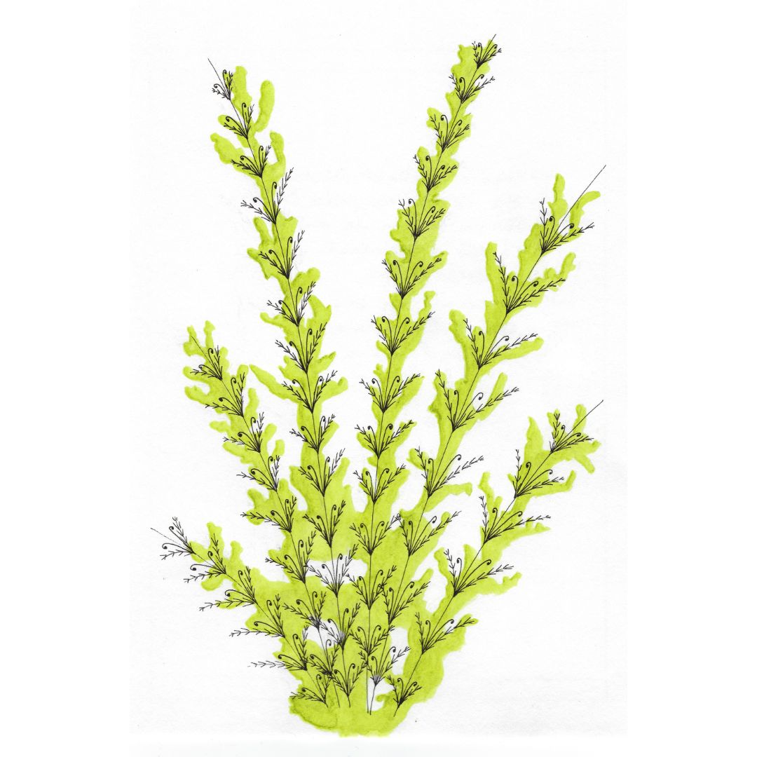 Être, avant que n&rsquo;ose…