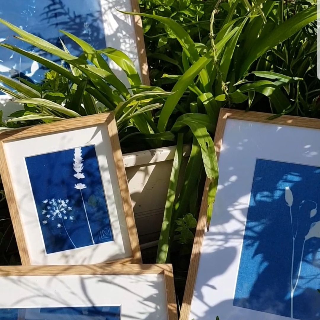 Initiation au cyanotype
