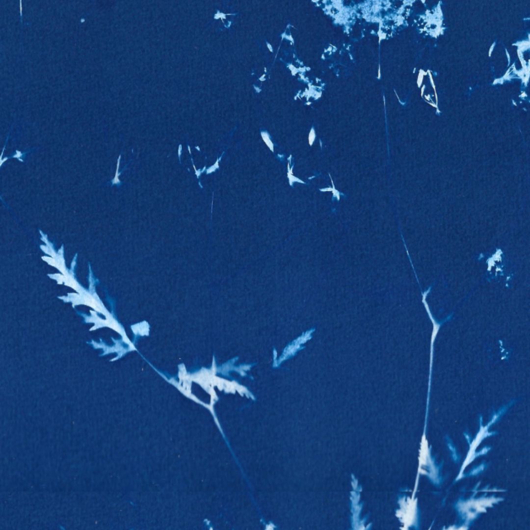 Brise d'été – Image 2