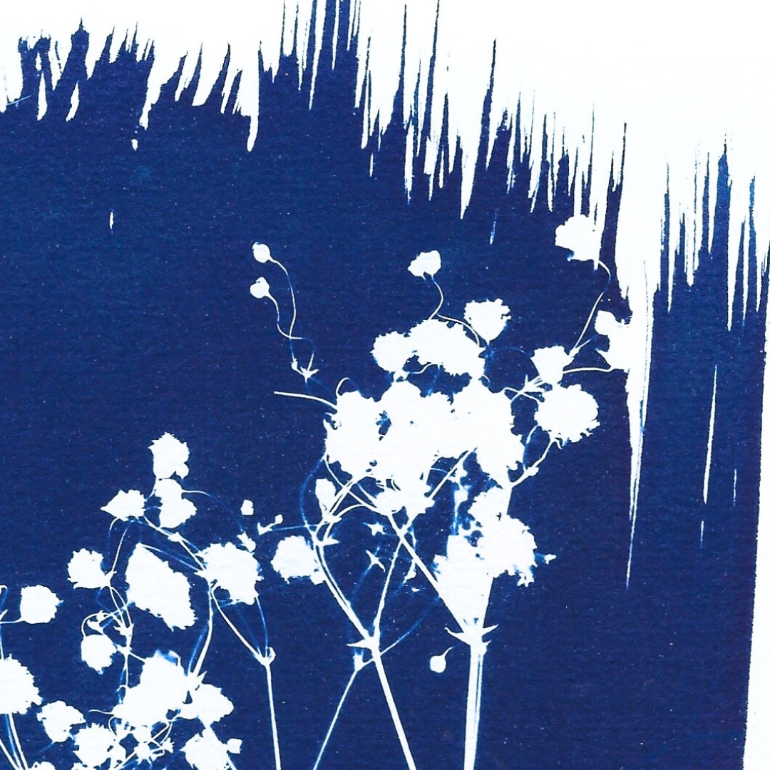 Gypsophile – Image 2