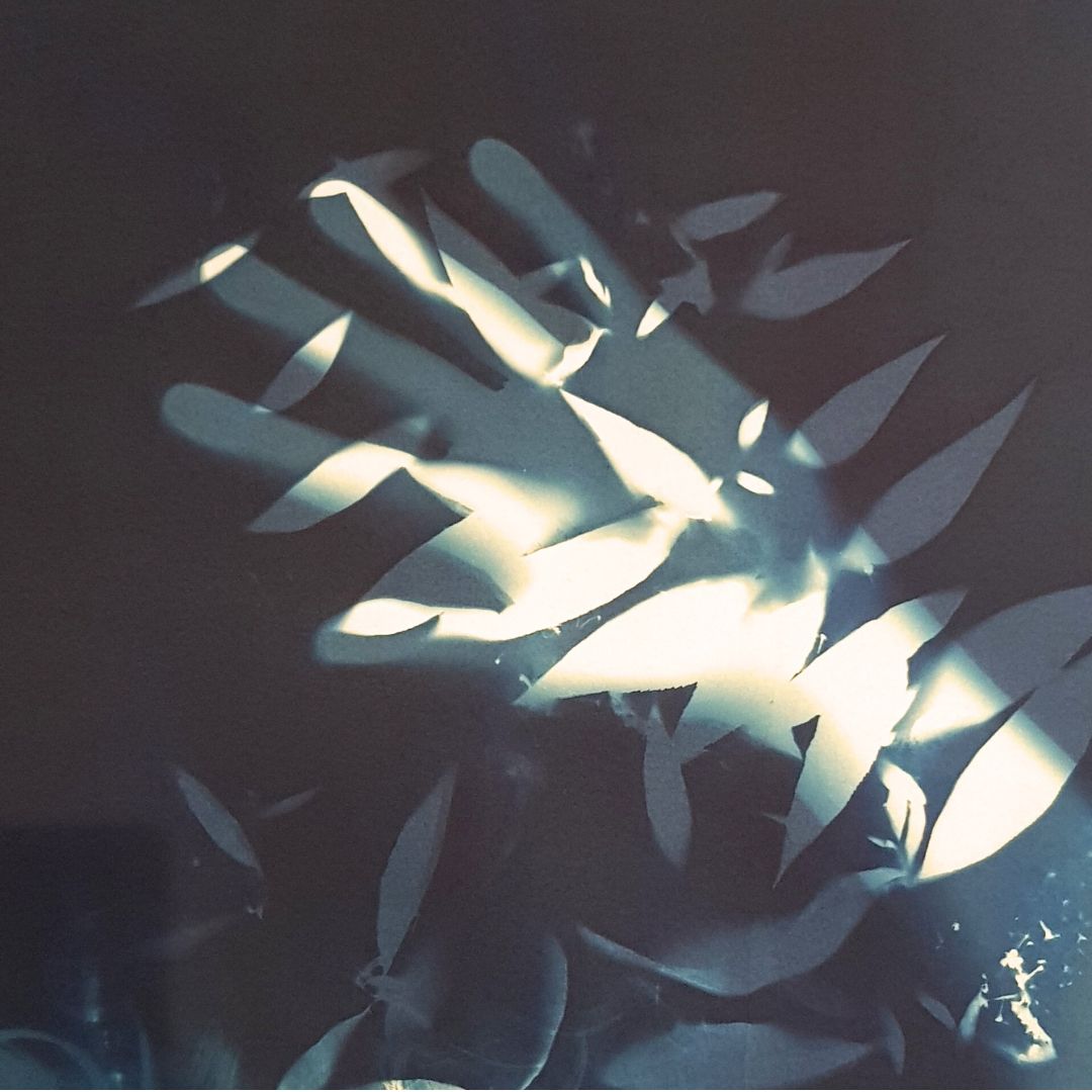 Rêve en corps – Image 3
