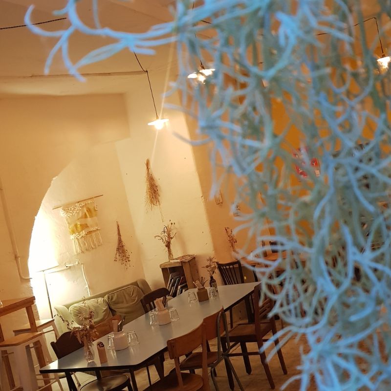 Du bleu dans les pluches