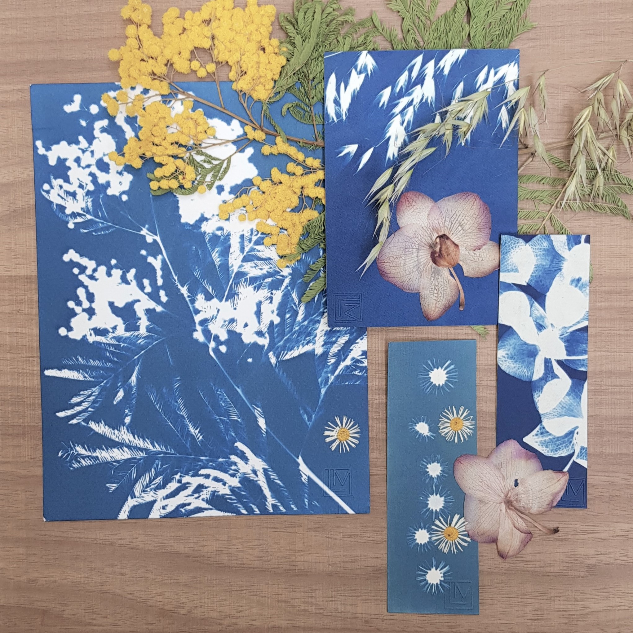 Initiation cyanotype 04/07/2026