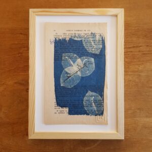 Bougainvillier au bac 1971 (encadré)