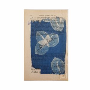 Bougainvillier au bac 1971 (non encadré)