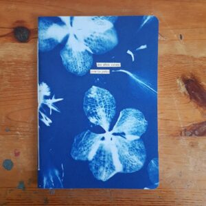 Carnet "Effets pour poètes"