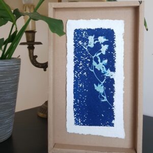 Cyanorchide texturé