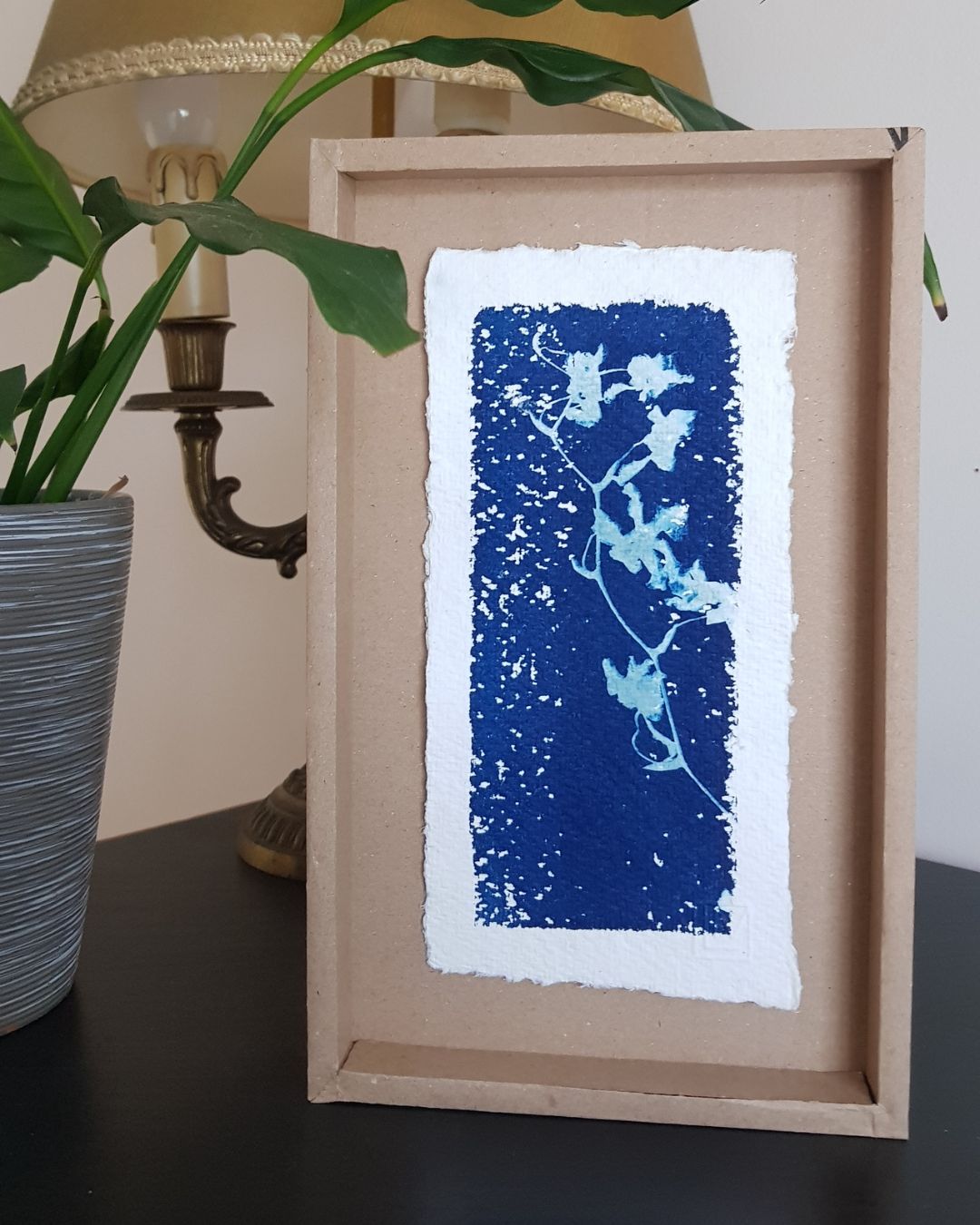 Cyanorchide texturé