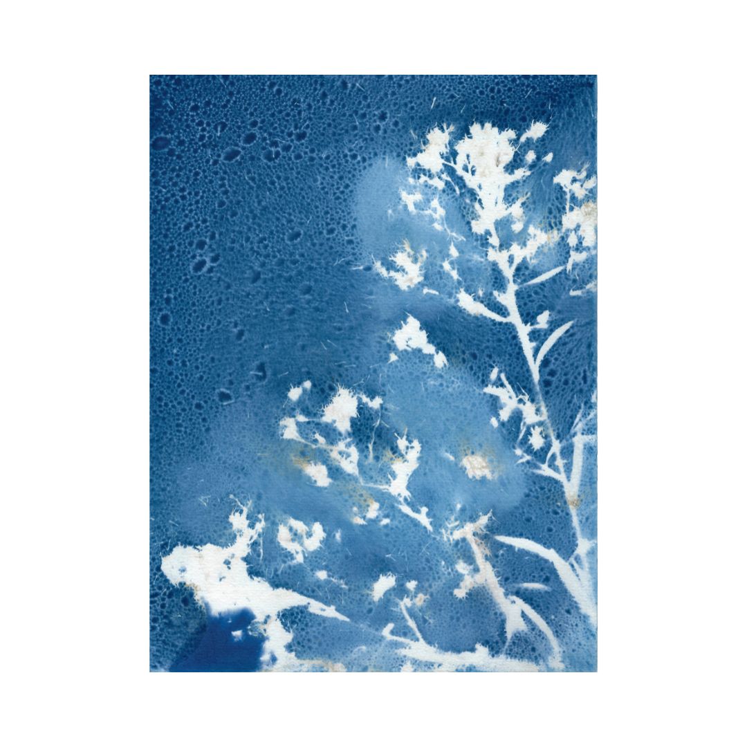 Jour de pluie