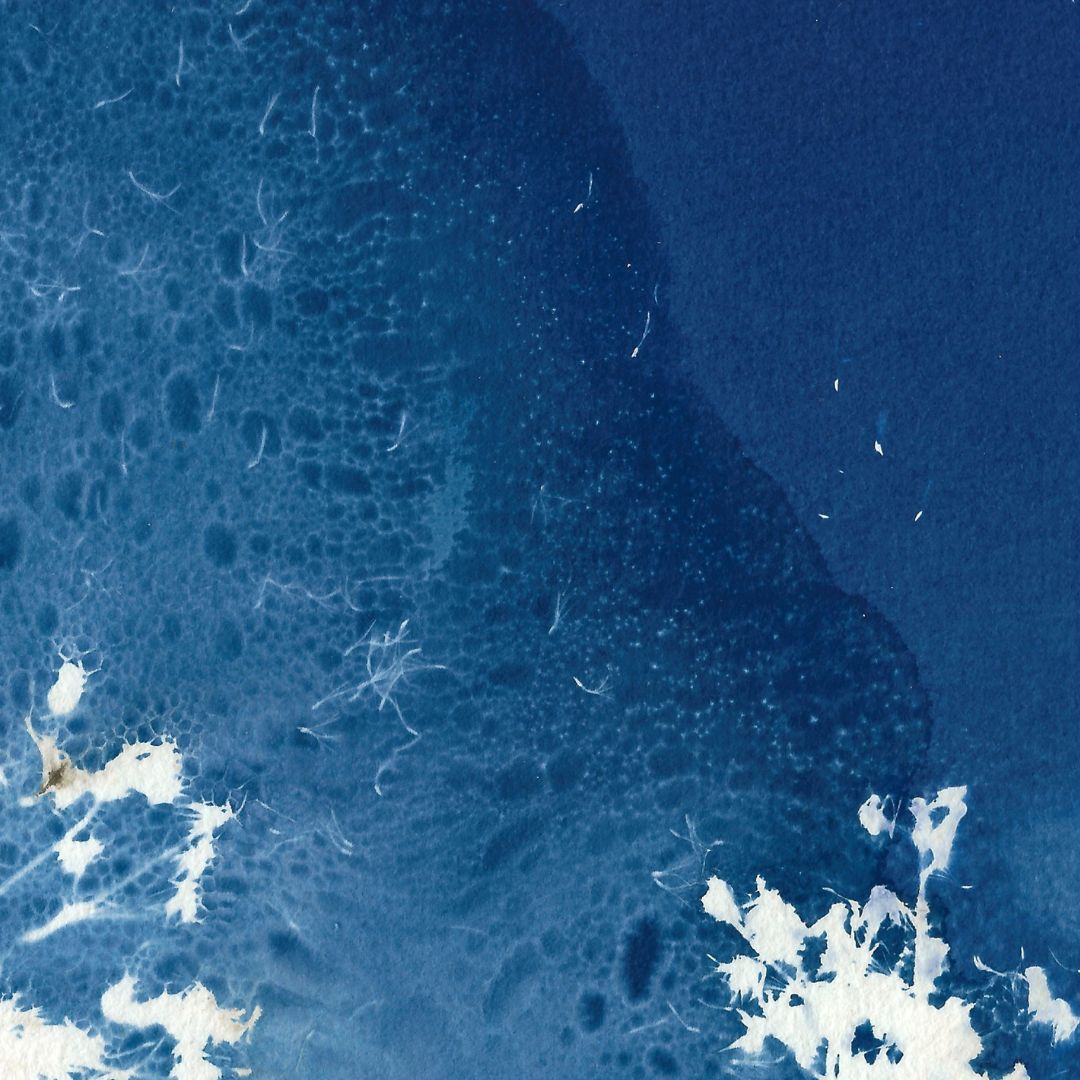La grande vague bleue – Image 2