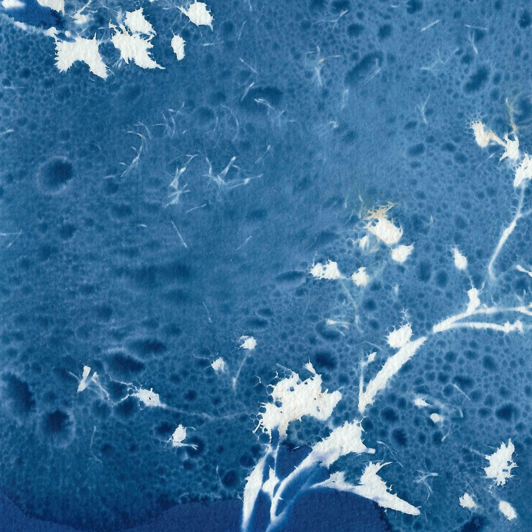 La grande vague bleue – Image 3