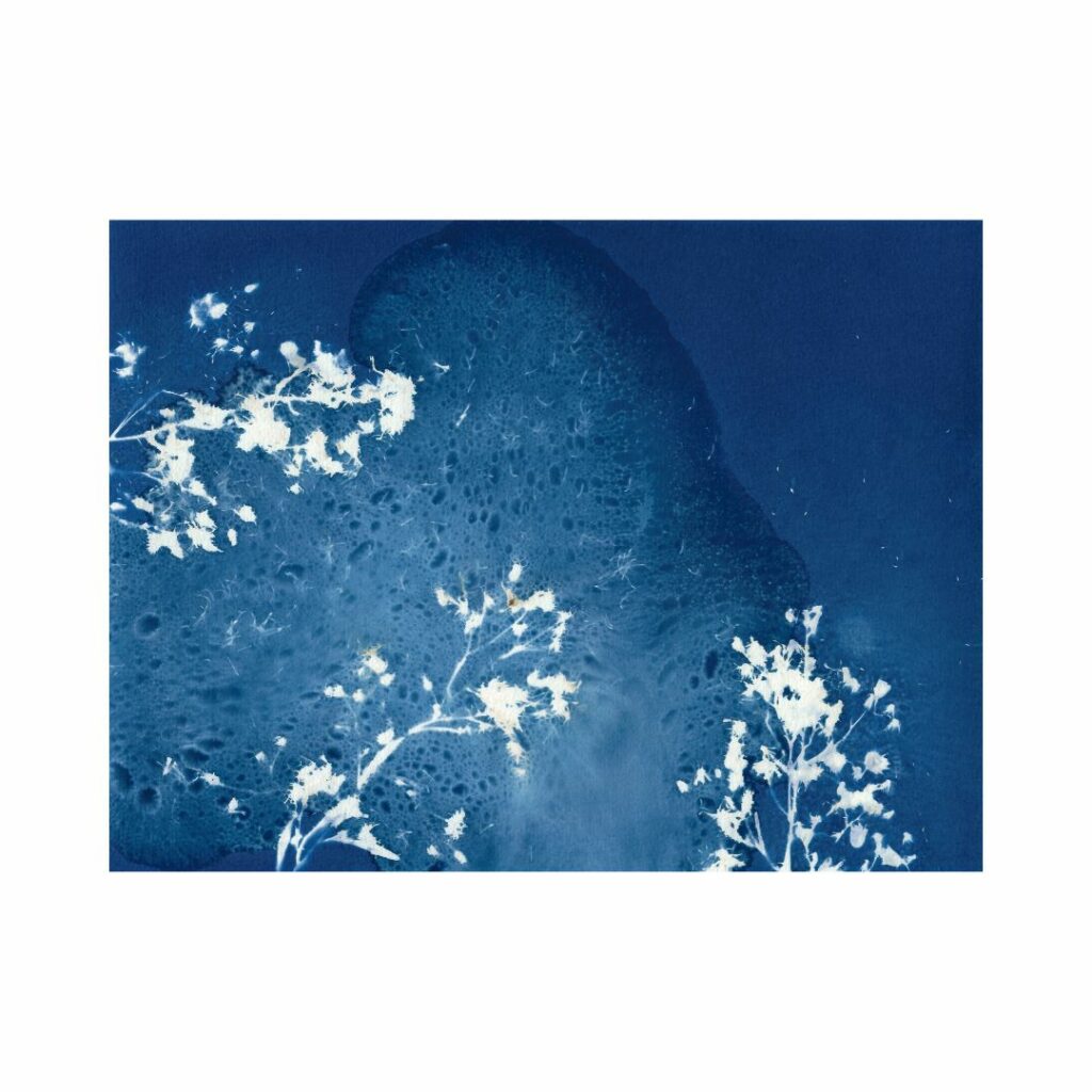 La grande vague bleue
