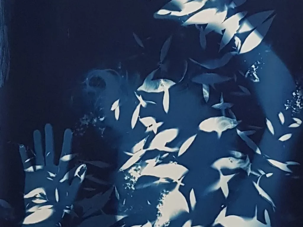 Visuel de la séance CRISTAL, une séance de maïeusthésie pour donner du sens à ta vie : une silhouette bleue pleine de feuilles blanches
