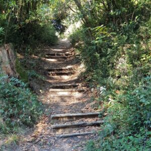 Le champ des possibles
