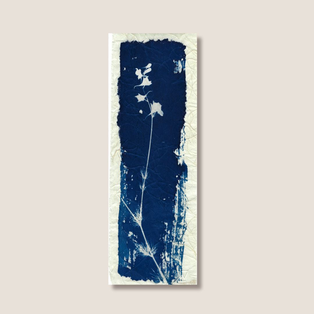 Fleur de bitume 2
