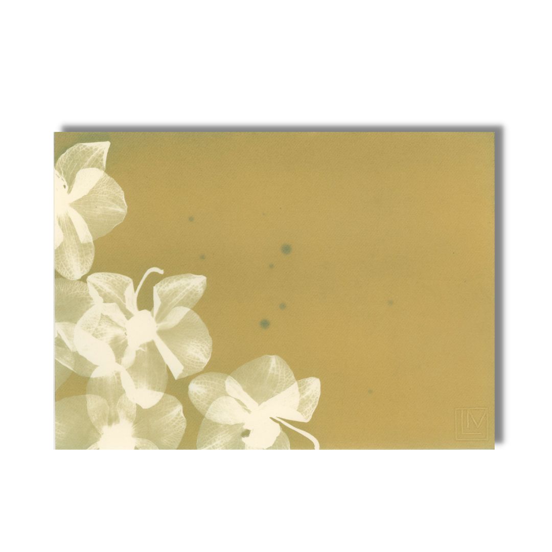 Ocres orchidées