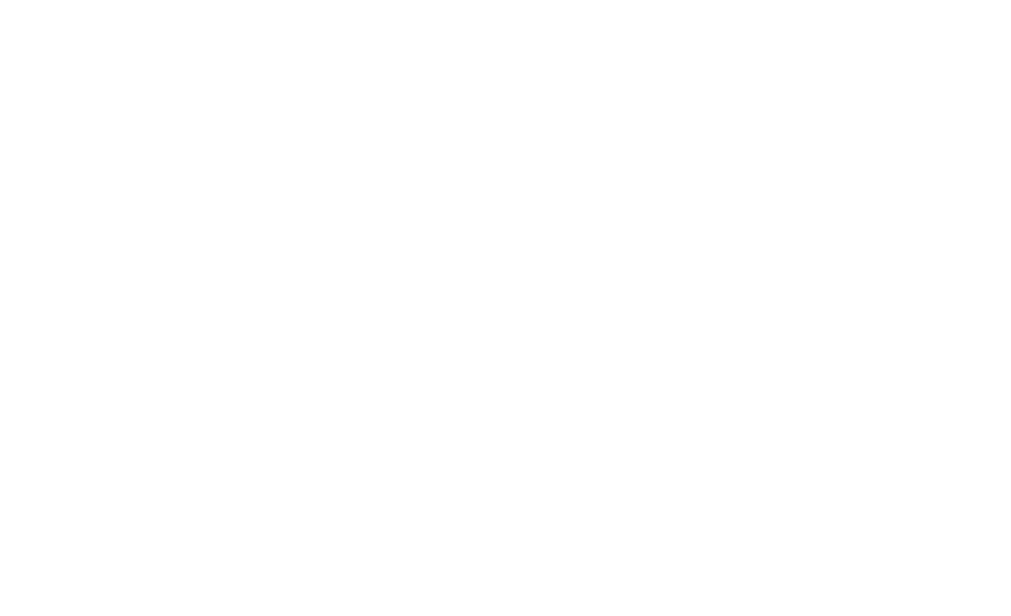 Laure Martin, une présence à l'oeuvre